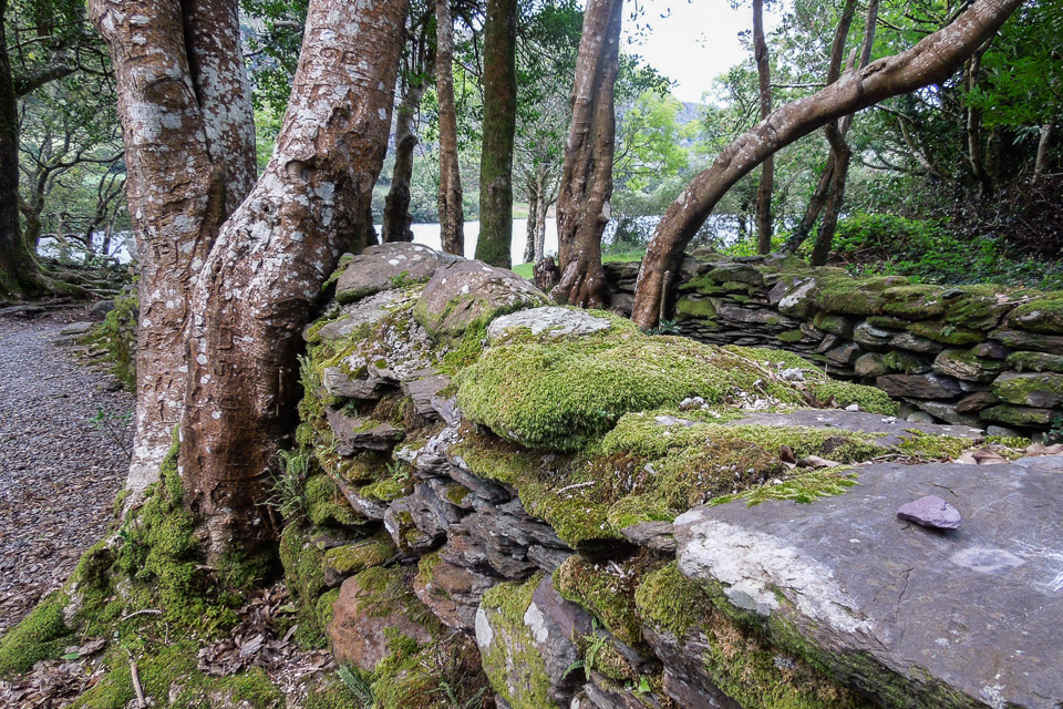 DSCN4911.jpg