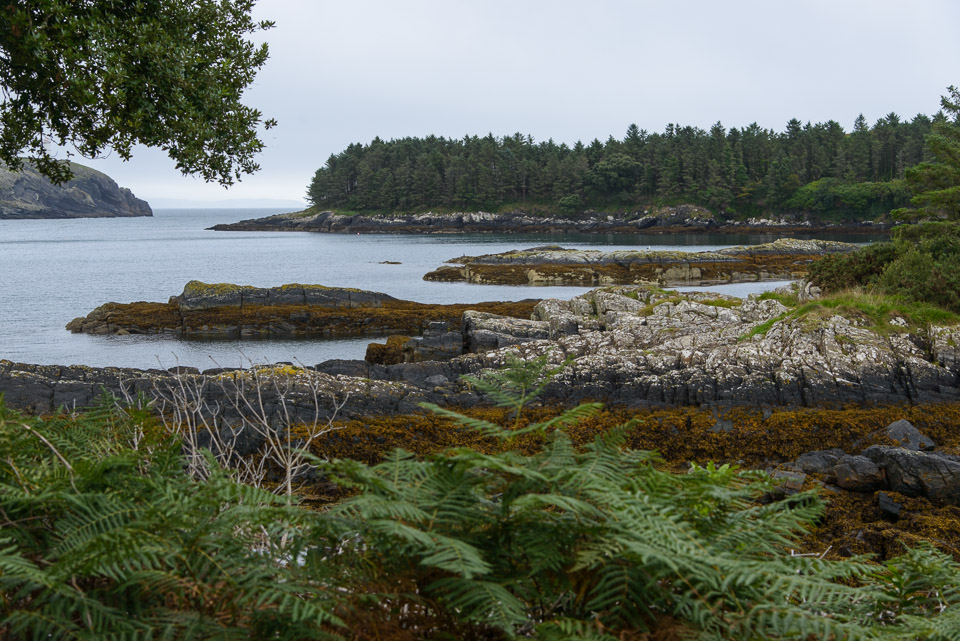 _DSC0398.jpg