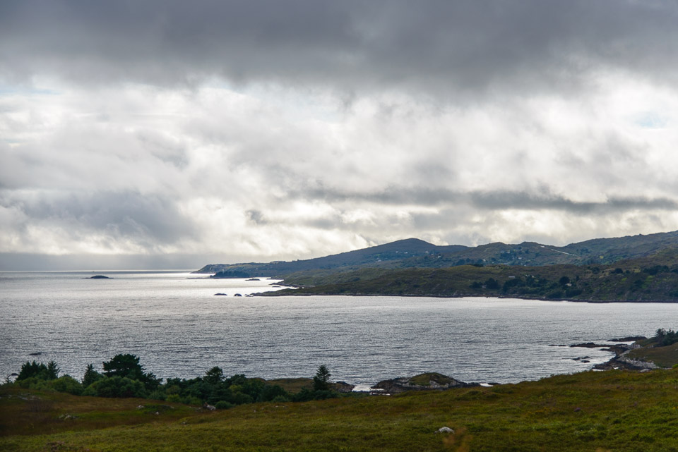 _DSC0427.jpg