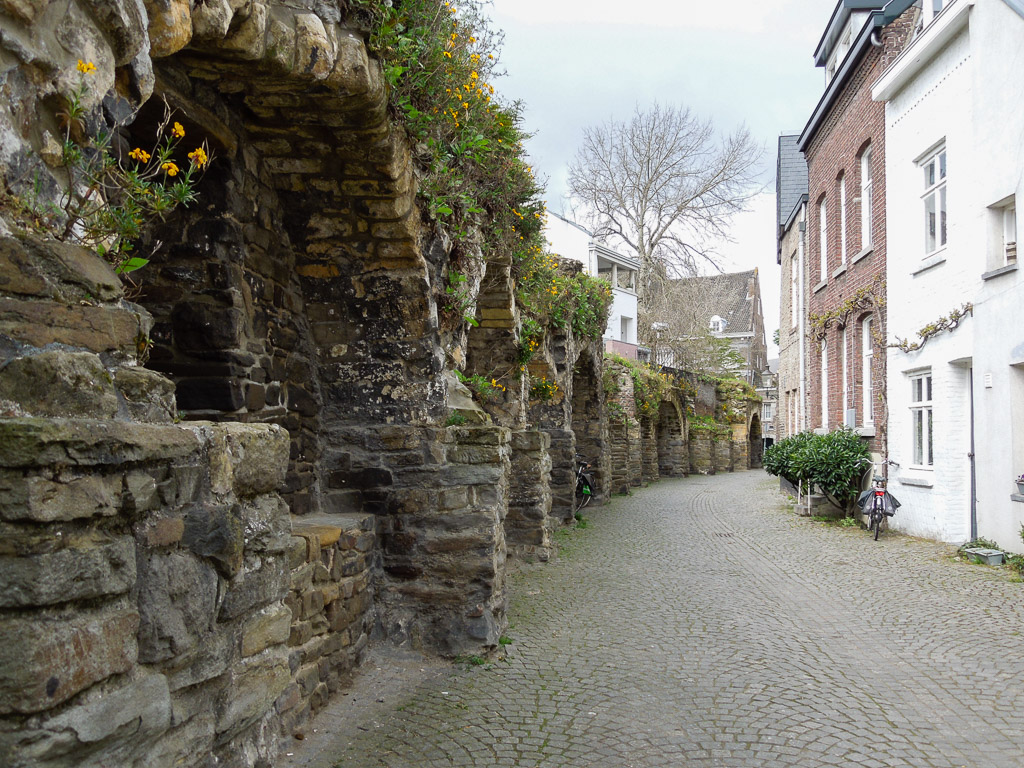 DSCN7015.jpg