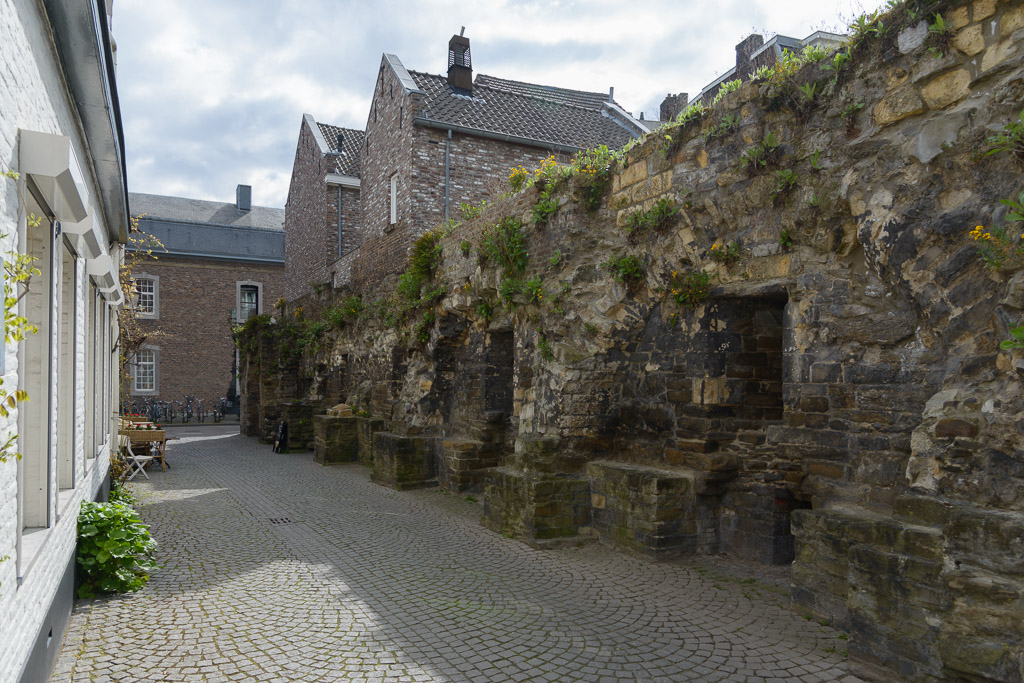_DSC1914.jpg