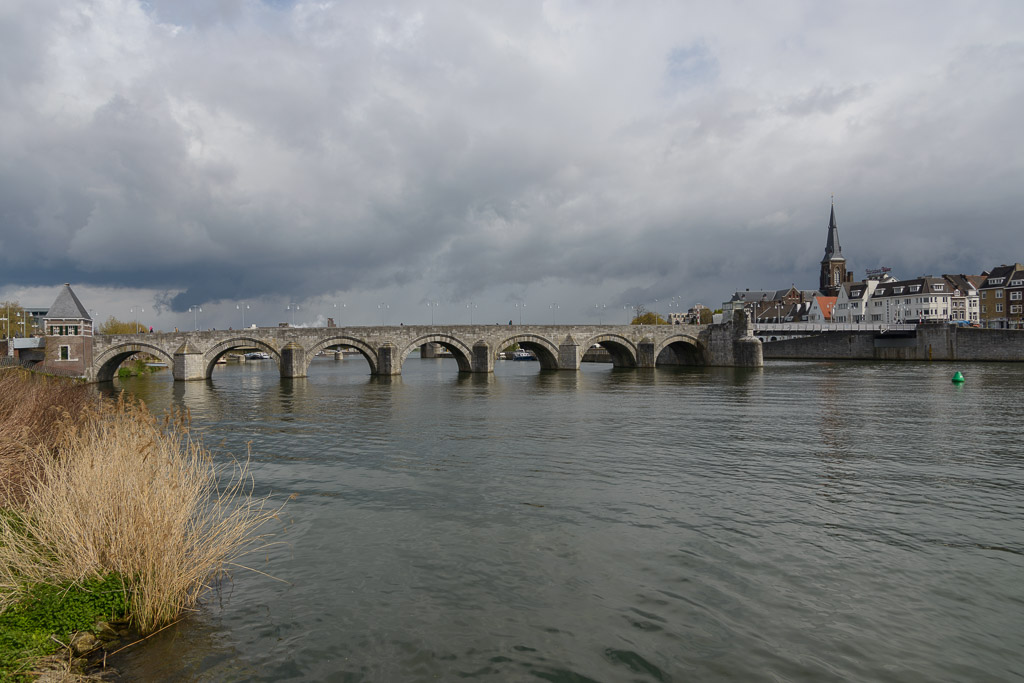 _DSC1984.jpg