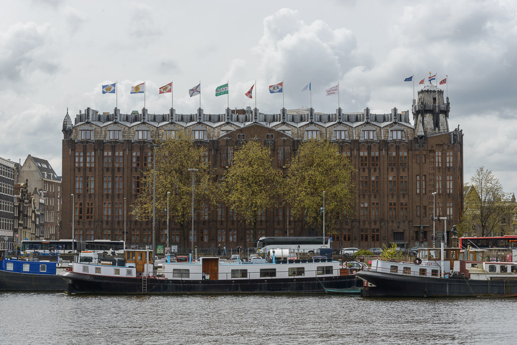 _DSC3203.jpg