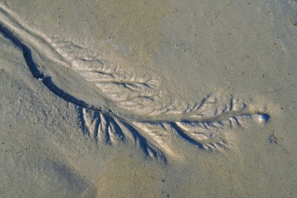 DSCN7379.jpg