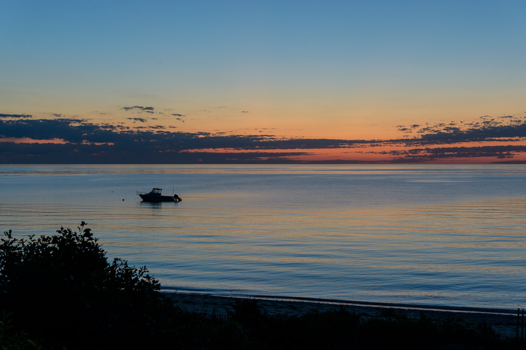 _DSC3671.jpg