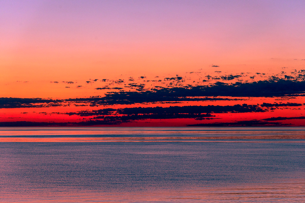 _DSC3680.jpg