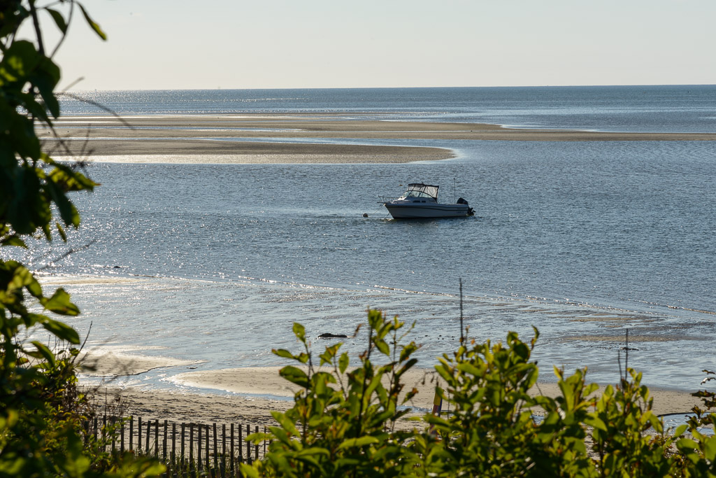 _DSC3872.jpg