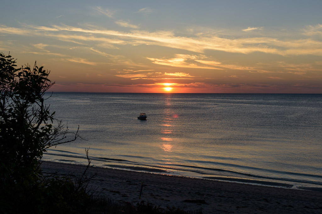 _DSC3915.jpg