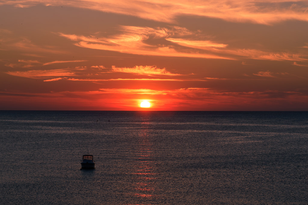 _DSC3925.jpg