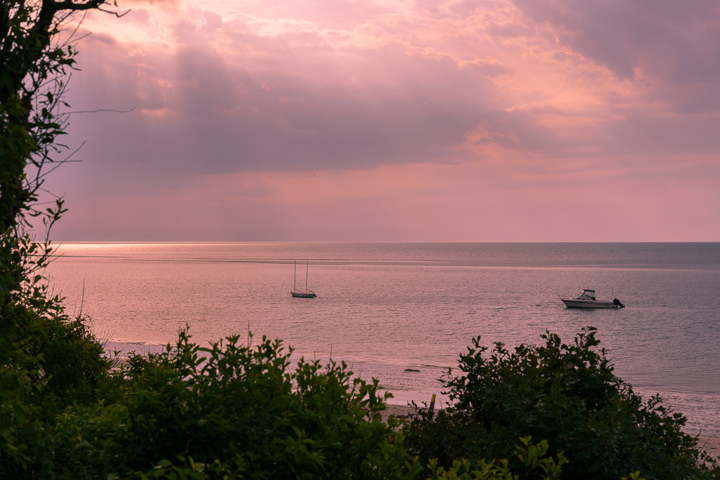_DSC4426.jpg