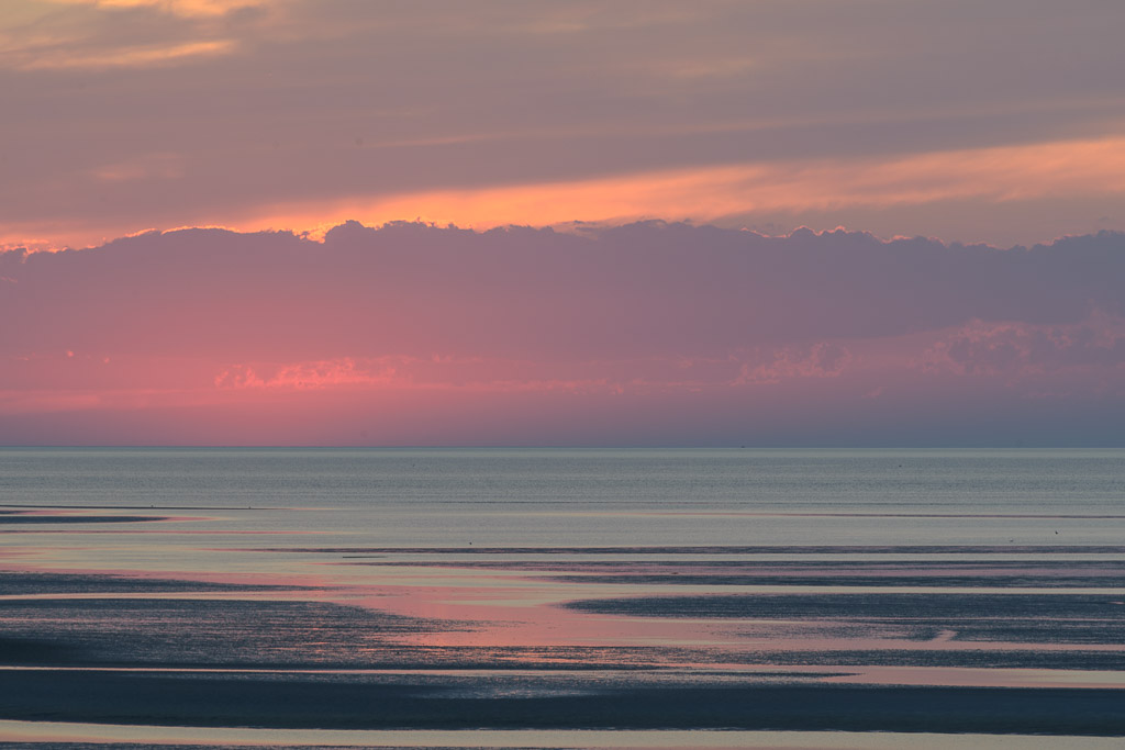 _DSC4463.jpg