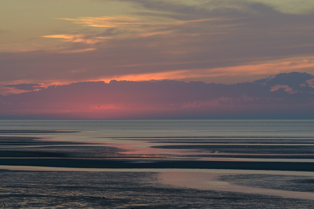 _DSC4465.jpg