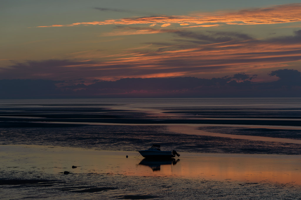 _DSC4474.jpg