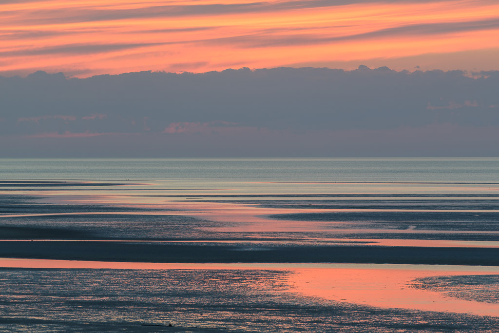 _DSC4500.jpg