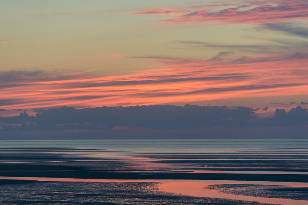 _DSC4502.jpg