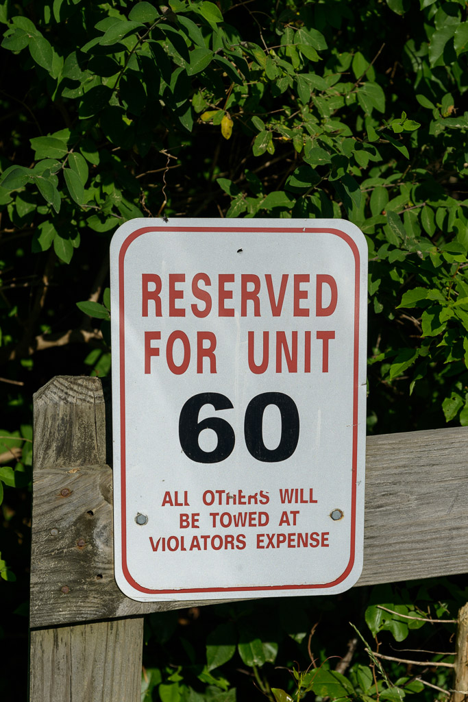 _DSC4562.jpg