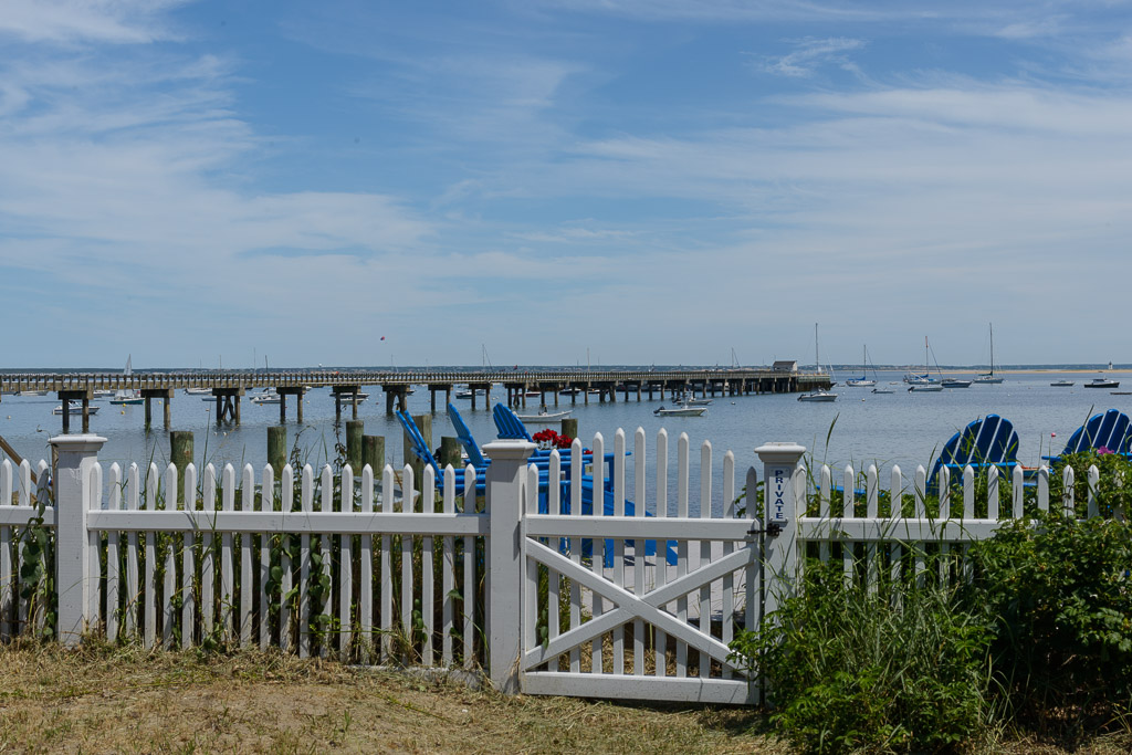 _DSC3559.jpg