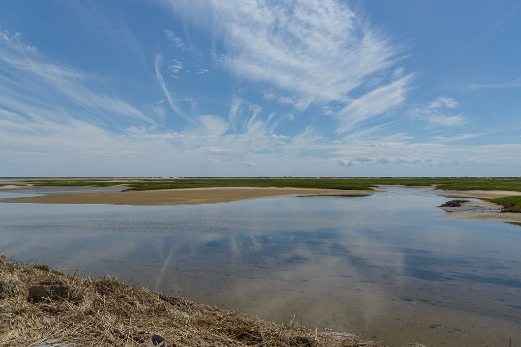 _DSC3572.jpg