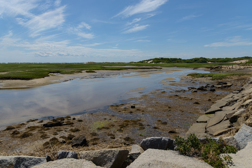 _DSC3574.jpg