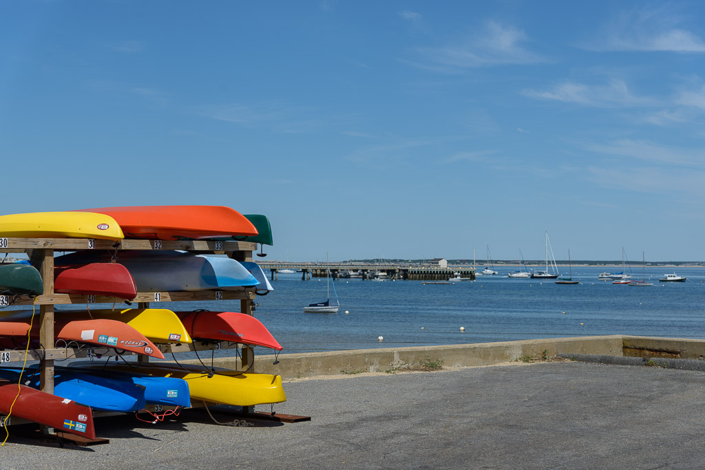 _DSC3584.jpg