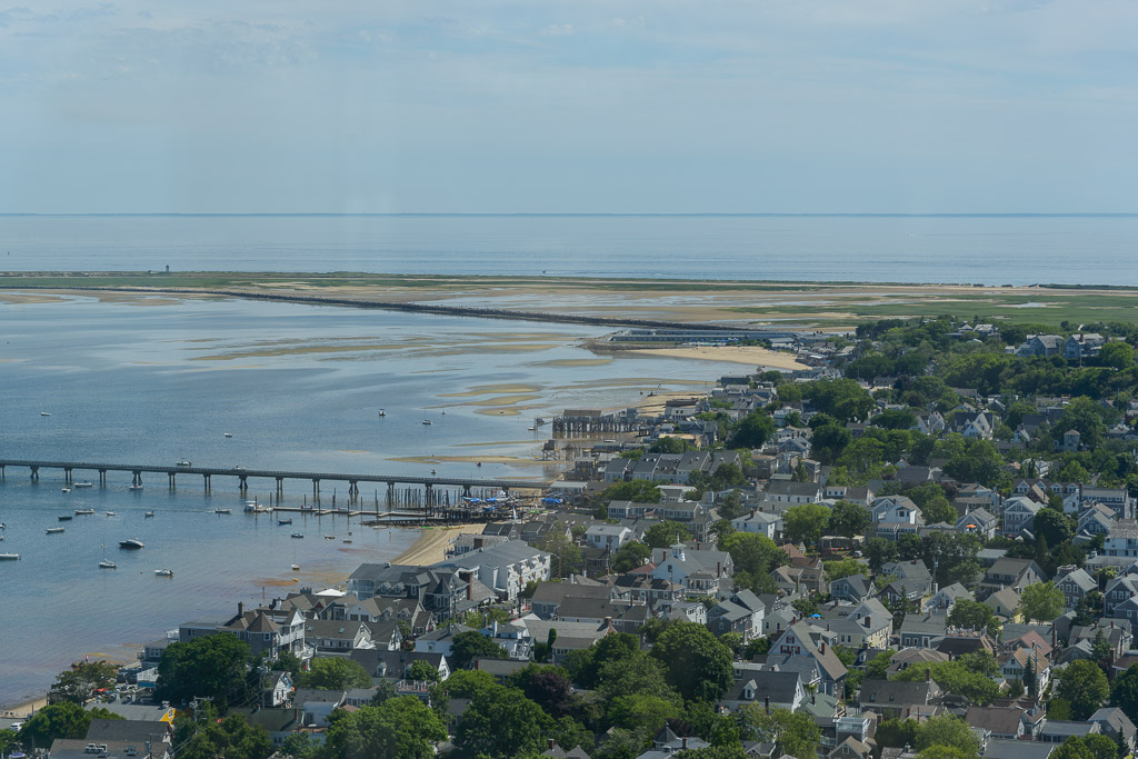 _DSC3602.jpg