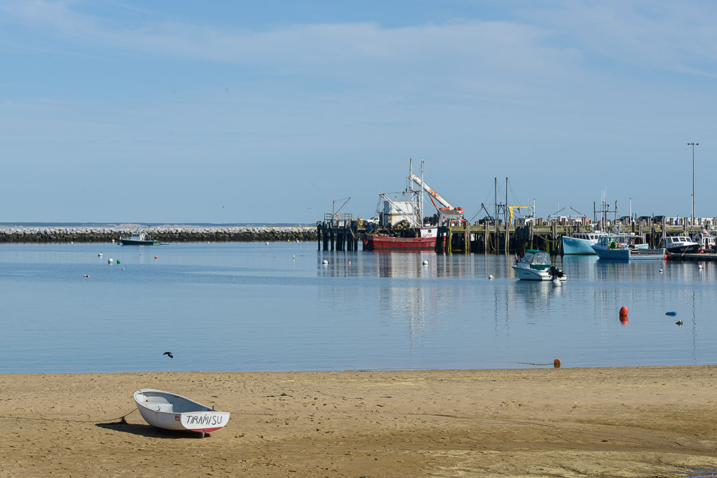 _DSC3663.jpg
