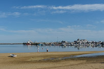_DSC3667.jpg
