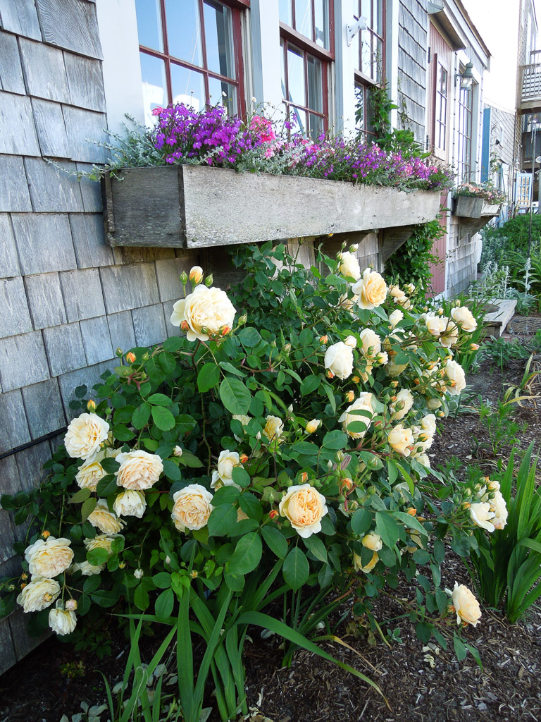 DSCN7338.jpg