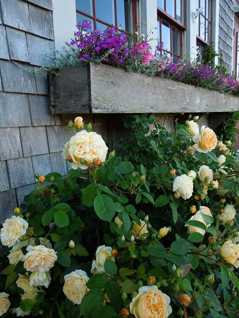 DSCN7339.jpg