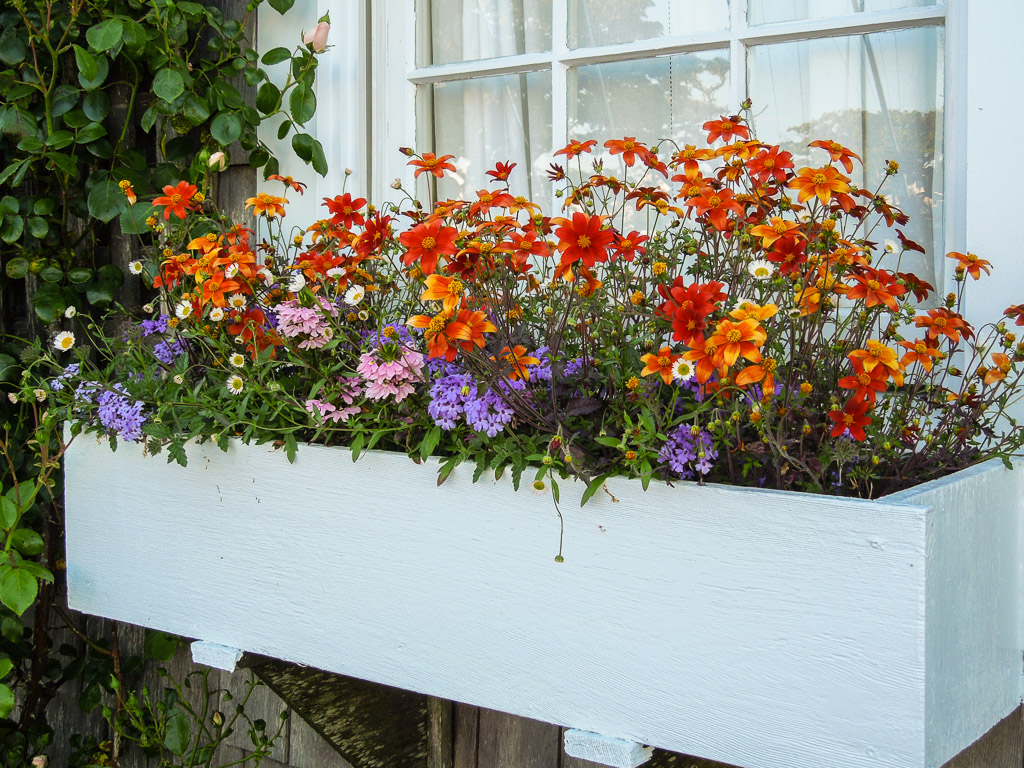 DSCN7340.jpg