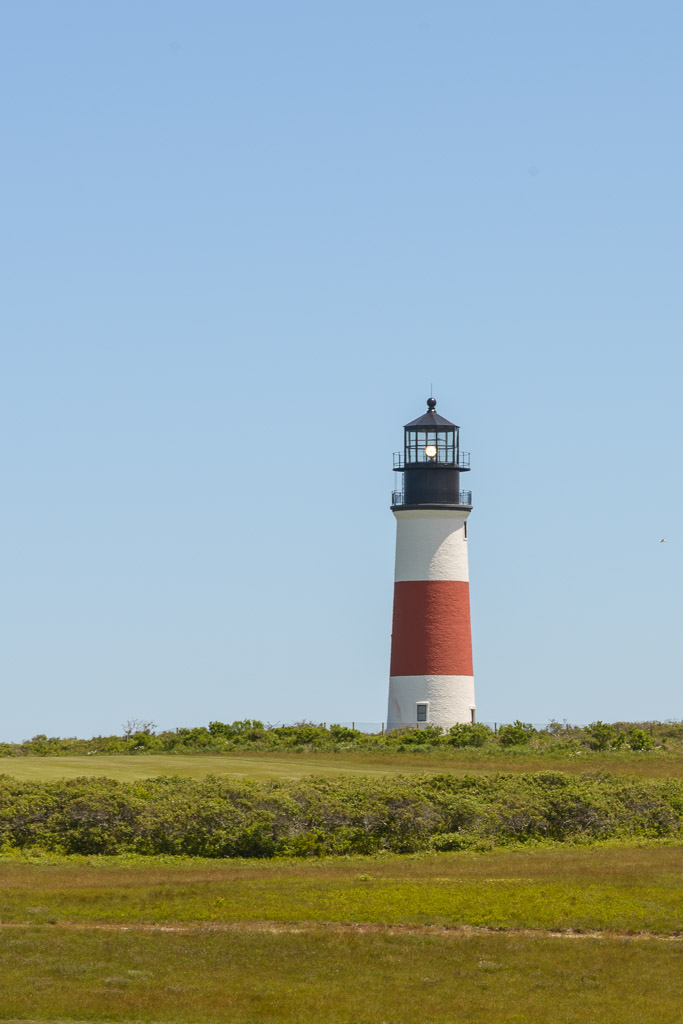 _DSC3697.jpg