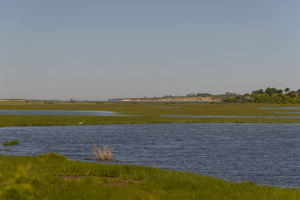 _DSC3699.jpg