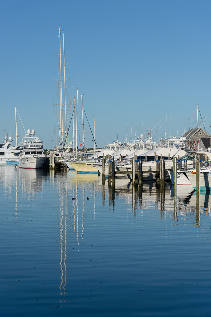 _DSC3781.jpg