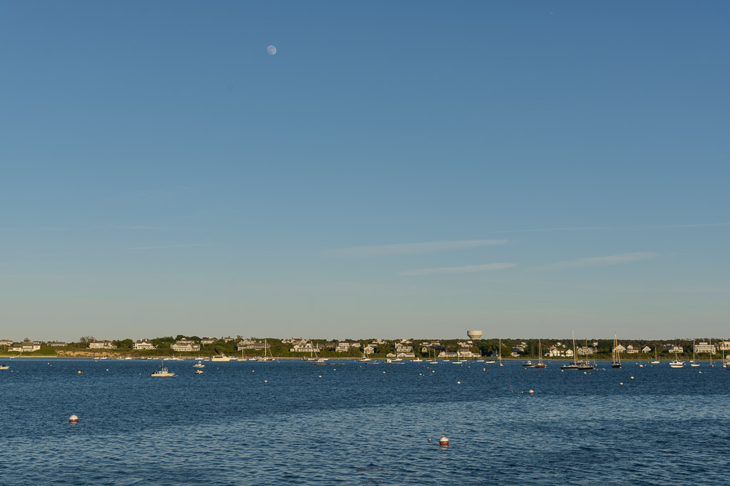 _DSC3799.jpg