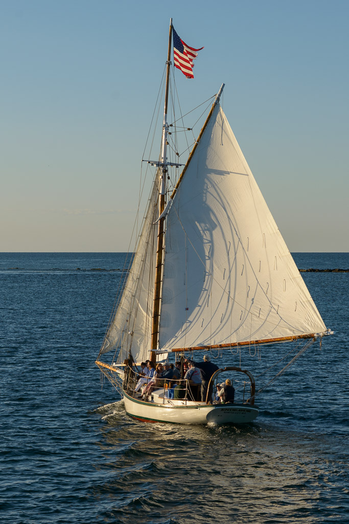 _DSC3811.jpg