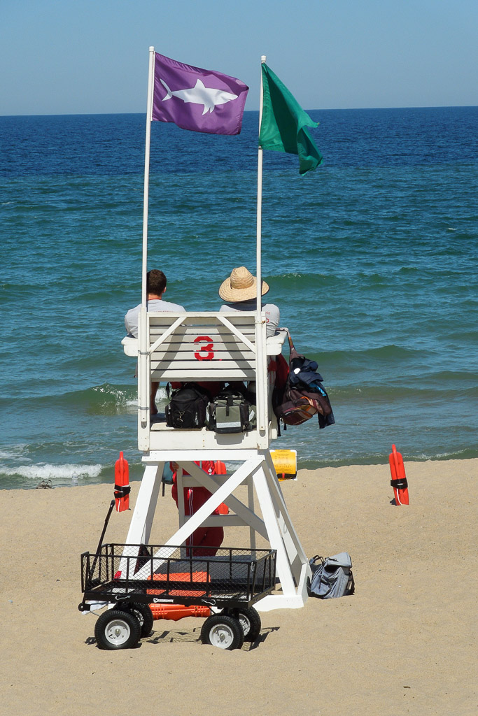DSCN7358.jpg
