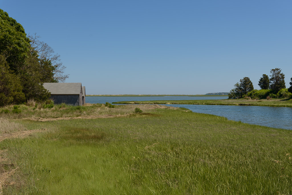 _DSC3834.jpg