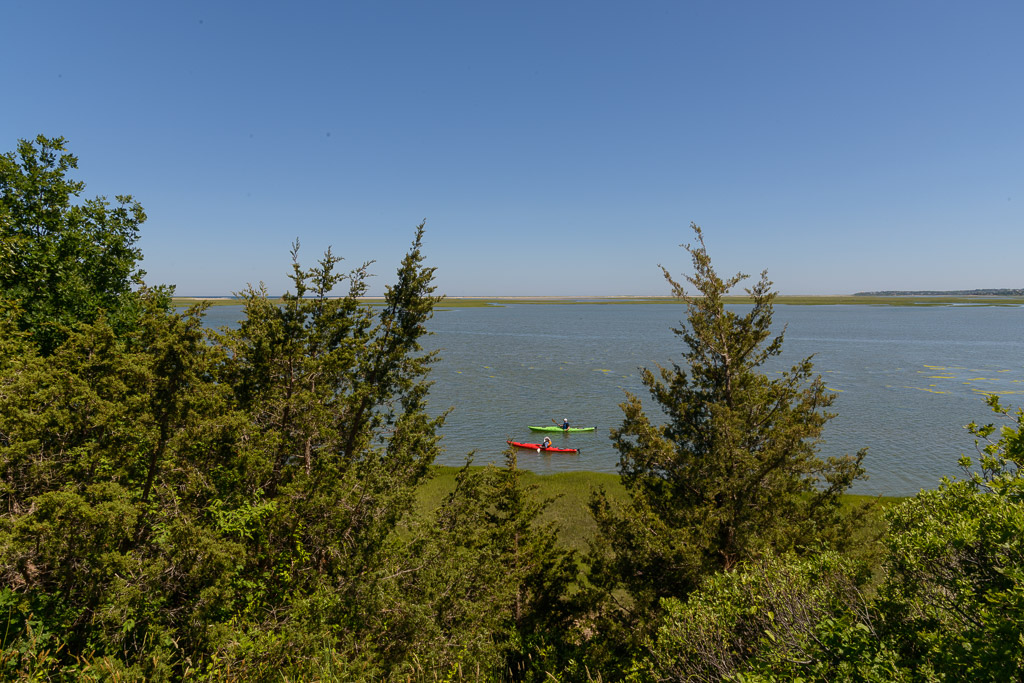 _DSC3835.jpg
