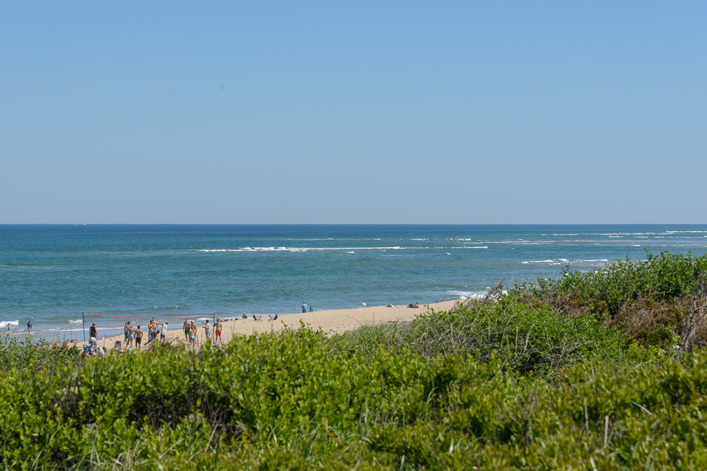 _DSC3854.jpg