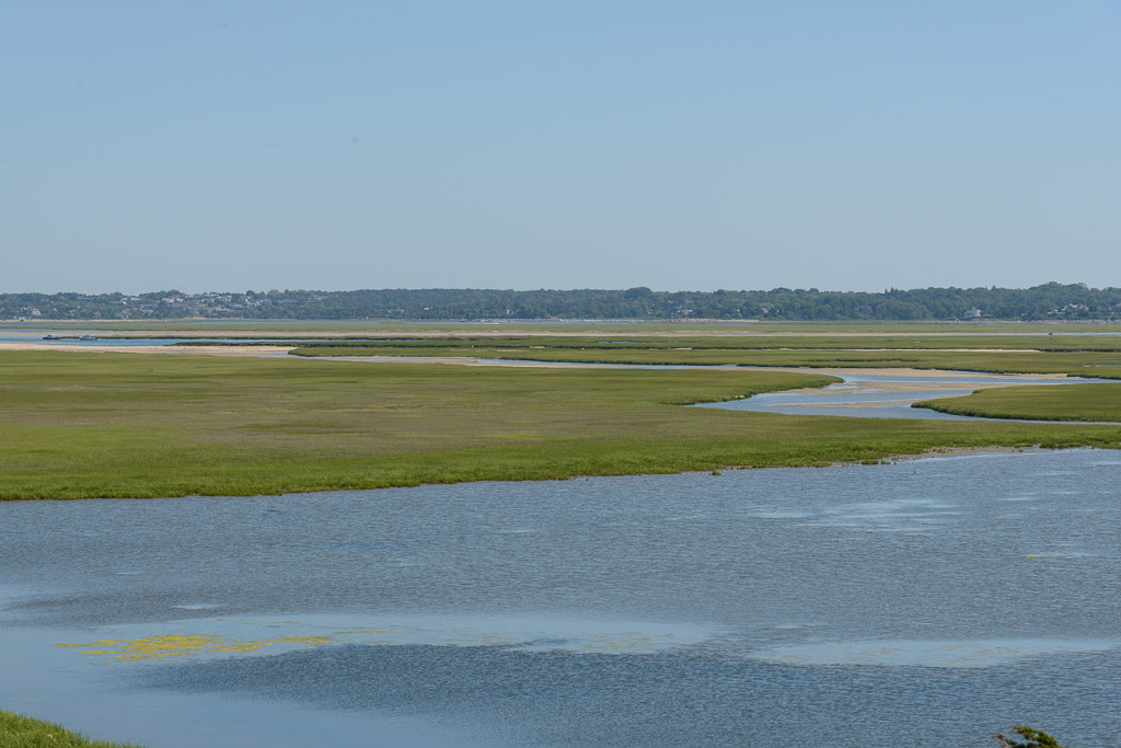_DSC3861.jpg