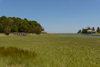 _DSC3832.jpg