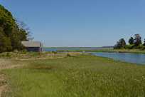 _DSC3834.jpg