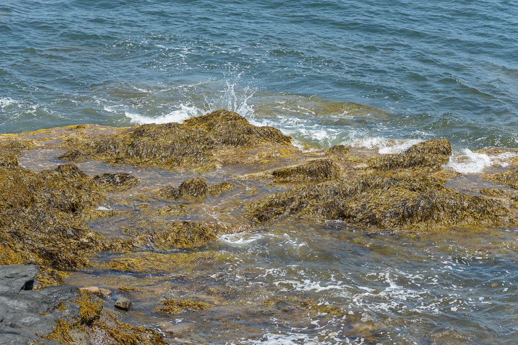 _DSC3997.jpg