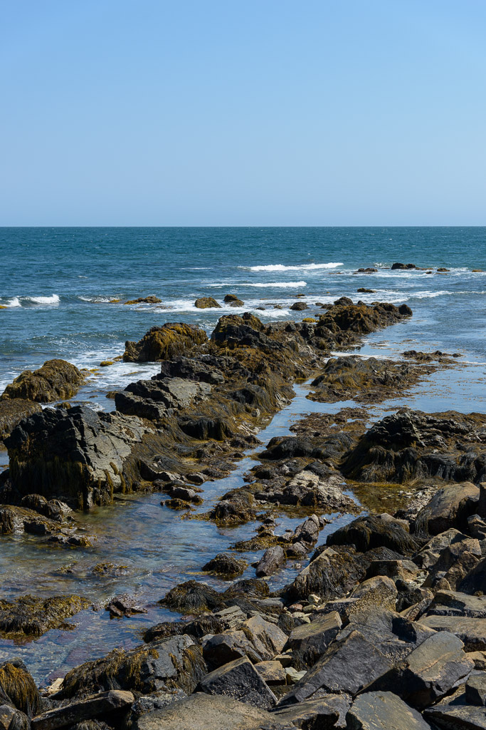 _DSC4226.jpg