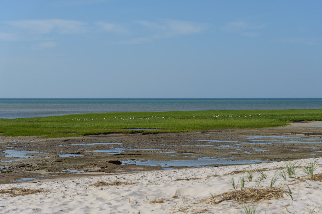 _DSC4286.jpg