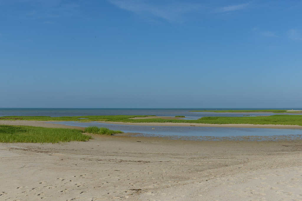 _DSC4311.jpg