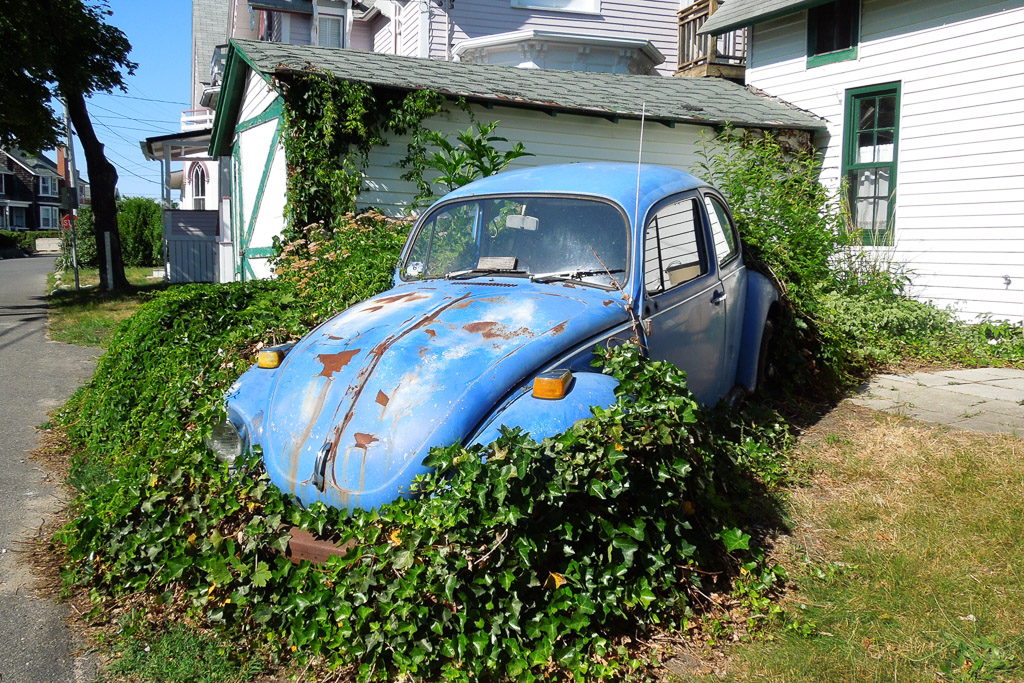 DSCN7414.jpg