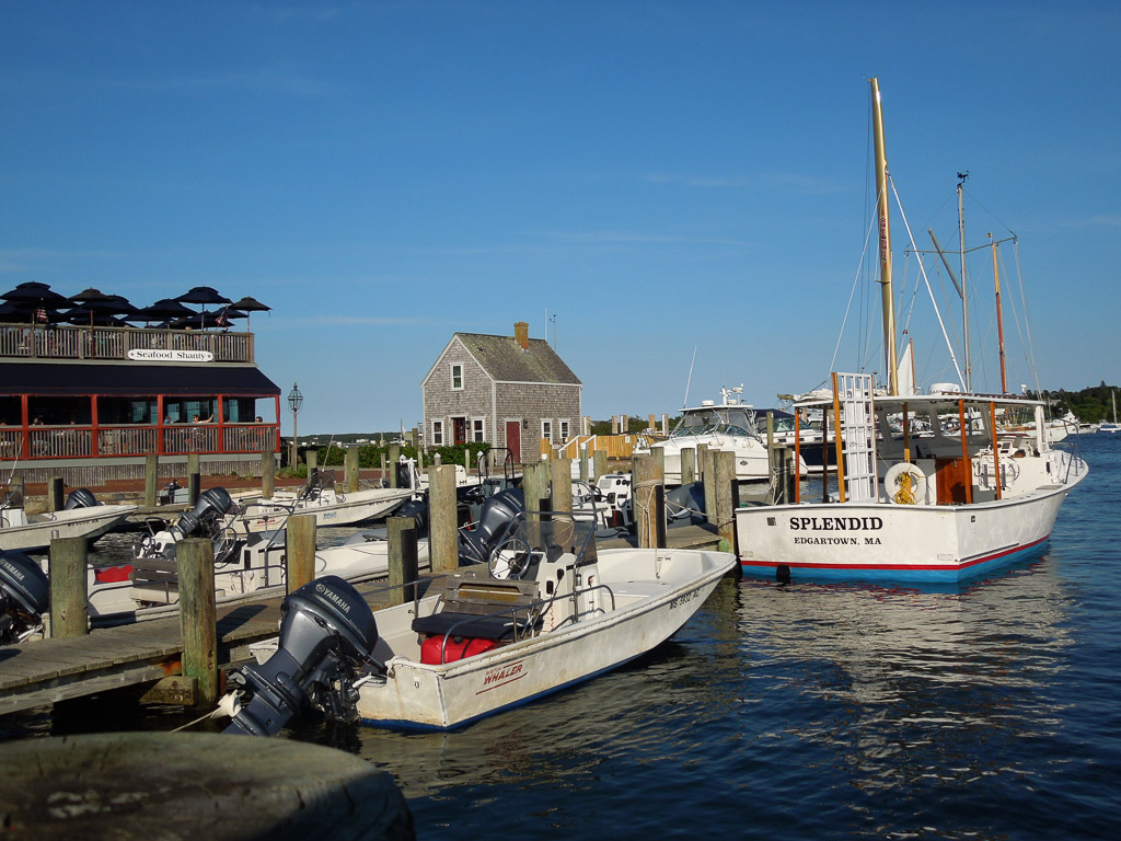 DSCN7443.jpg