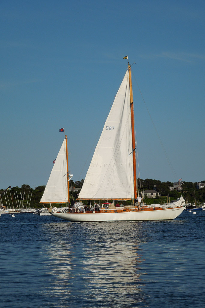 DSCN7445.jpg