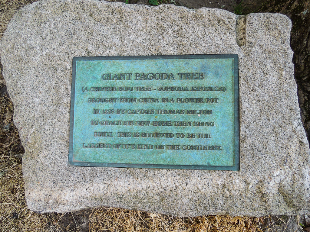 DSCN7449.jpg